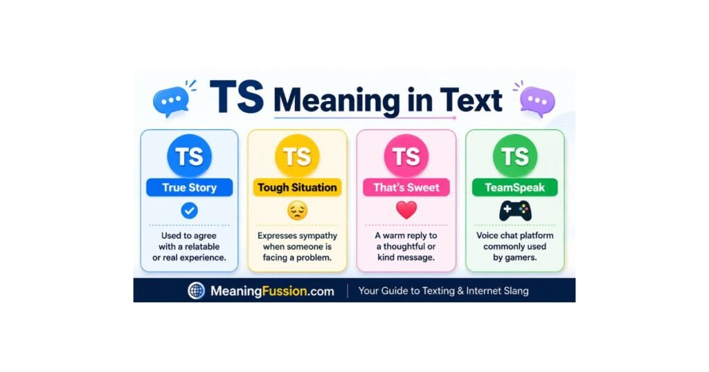 ts-meaning-in-text