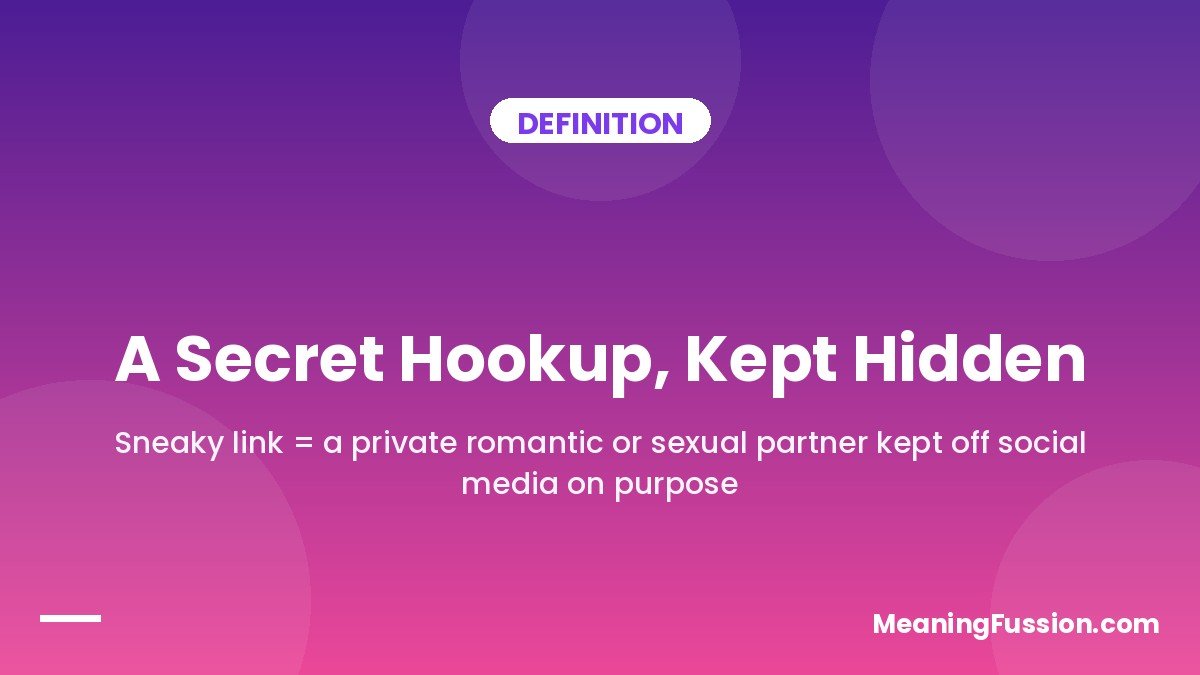 Definition of a sneaky link - a secret hookup kept hidden from others