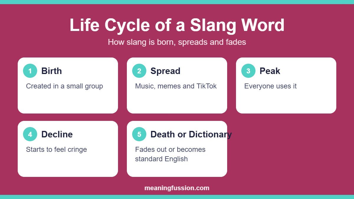 Life cycle of a slang word from birth to dictionary, part of the types of slang guide