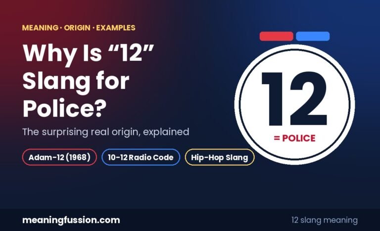 why is 12 slang for police