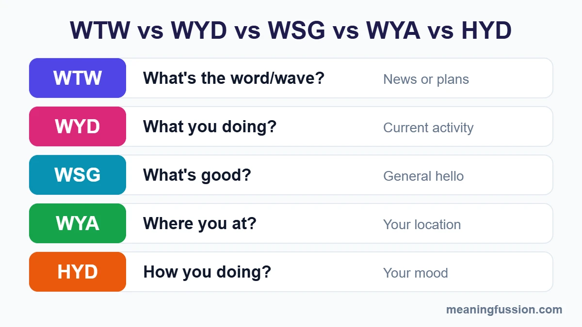 WTW meaning in text vs WYD, WSG, WYA and HYD comparison chart